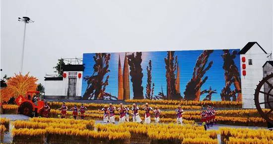 今日南京爆料最新消息新闻,聚焦城市热点事件追踪 第1张 今日南京爆料最新消息新闻,聚焦城市热点事件追踪 第1张